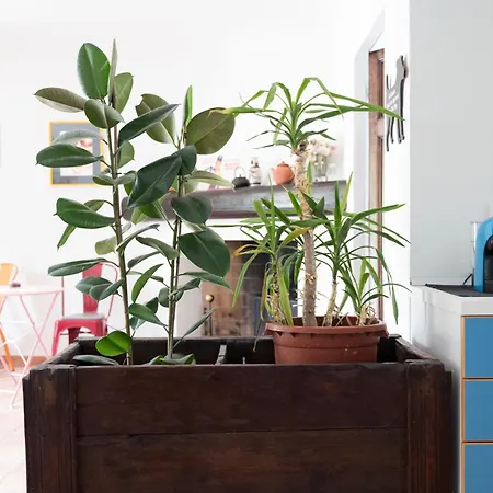 Apartment Casa Silvana *