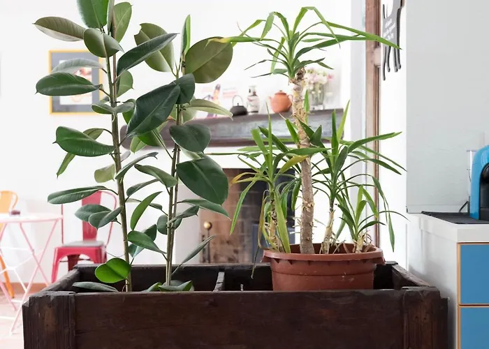 Apartamento Casa Silvana *